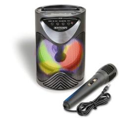 ALTOPARLANTI WIRELESS BONTEMPI 50W +MICROFONO 49-1010