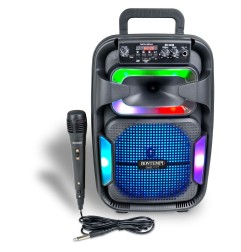 ALTOPARLANTI WIRELESS BONTEMPI 120W +MICROFONO 49-1030