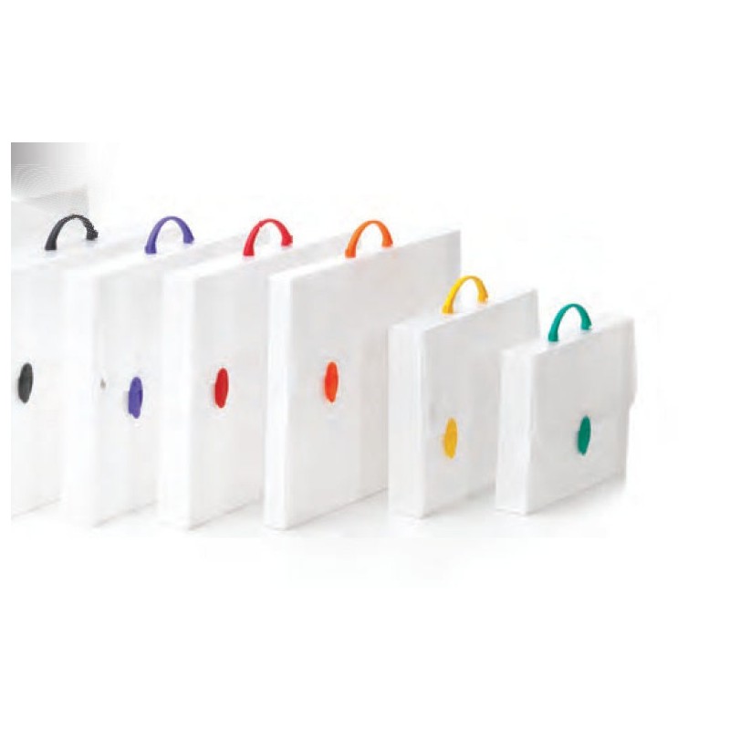 Favorit Valigetta in Plastica Polionda 1 Chiusura 27X38X5 501058