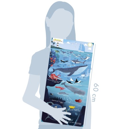 Avenue Mandarine Puzzle Educativo Marine World 100 pz formato 185 × 270 mm PU024C