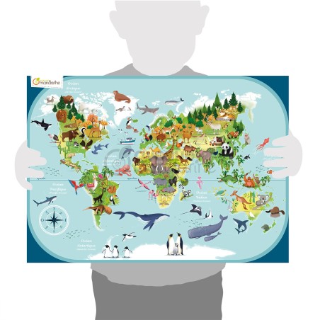 Avenue Mandarine Puzzle 3D Planisfero montaggio senza colla PU014C