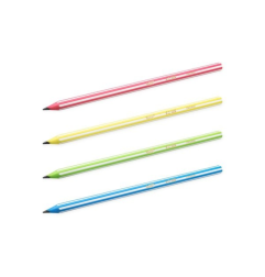 BIC Matite Nere Evolution Stripes 646 HB Multicolor 12 Pz 918487