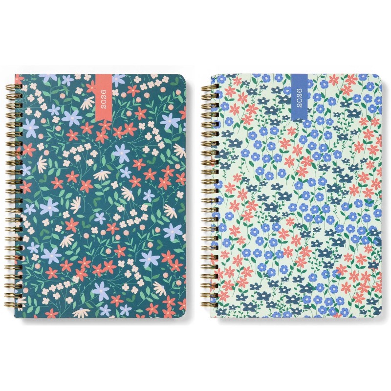 LETTS 2026 SPRING VALLEY A5 SETTIMANALE COL.ASS. L082378