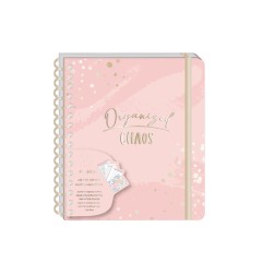 Seven 18 MONTH LARGE SPIRAL WEEKLY AGENDA 25/26 CON DIVISORI  GOLD 31138TD-33010