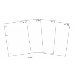 EdiPro Fogli mobili Contabilità Generale A4 90 g numerati 1-100 retro annullato 100 fogli E2349