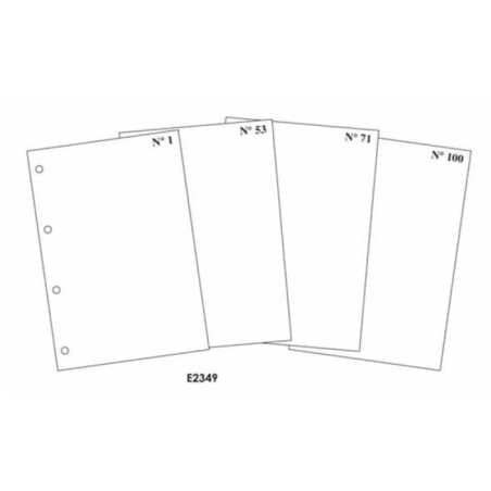 EdiPro Fogli mobili Contabilità Generale A4 90 g numerati 1-100 retro annullato 100 fogli E2349