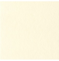 Fabriano FAcolore cartoncino panna 70x100 cm 200 g/m² liscio 10 fogli 46303221