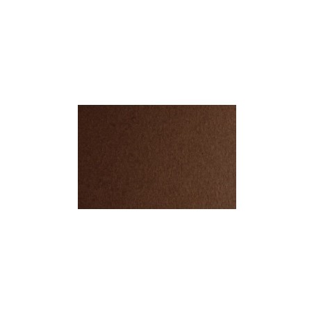 Fabriano FAcolore cartoncino marrone 70x100 cm 200 g/m² liscio 10 fogli 46303226