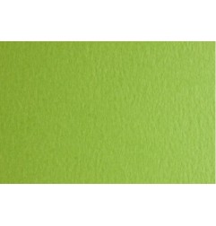 Fabriano FAcolore cartoncino verde pisello 70x100 cm 200 g/m² liscio 10 fogli 46303230