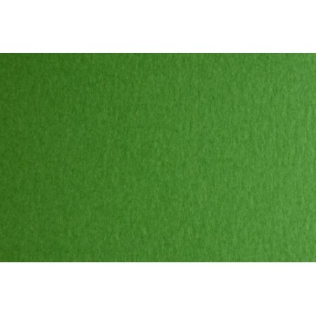Fabriano FAcolore cartoncino verde 70x100 cm 200 g/m² liscio 10 fogli 46303231